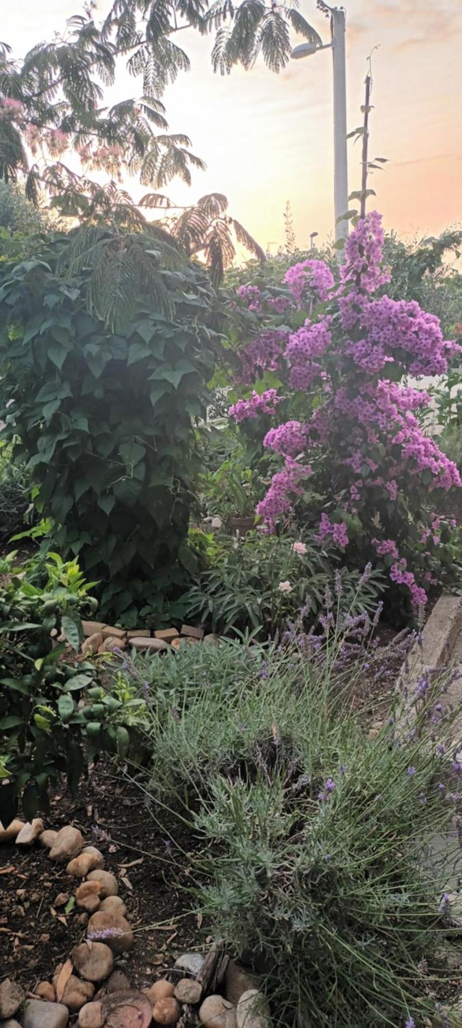 Anna Apartment Biograd Na Moru Luaran gambar